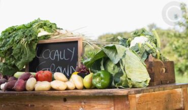 Organics Reduces Health Risks